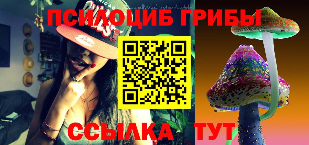 Псилоцибиновые грибы Cubensis  Вход с VPN  что такое   Шелехов 